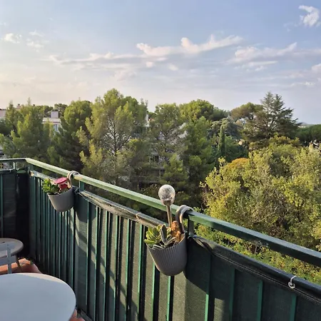 T3 Cosy Et Lumineux Avec Terrasse *