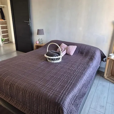 T3 Cosy Et Lumineux Avec Terrasse דירה