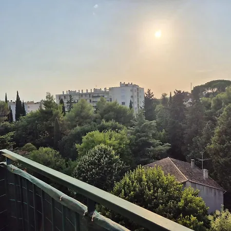 T3 Cosy Et Lumineux Avec Terrasse